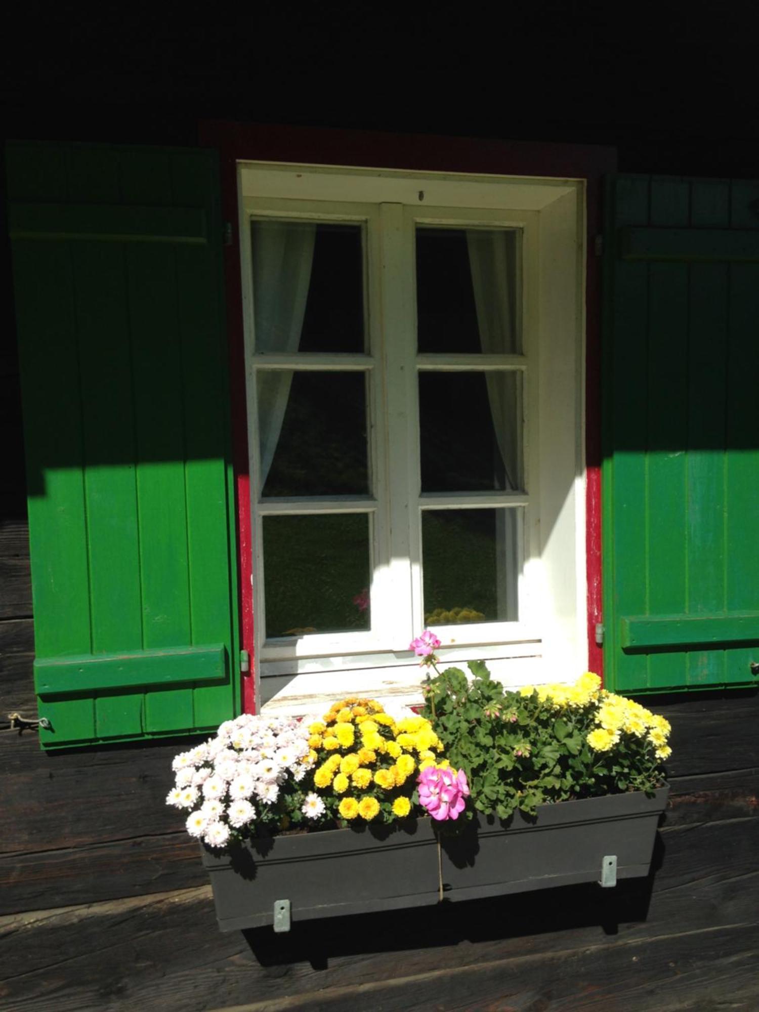 Ferienhaus Trausibauer Stainz Exterior photo